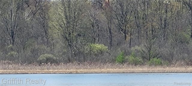 00 VL Pady, Brighton Township, MI 48114