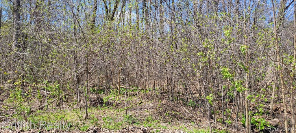 00 VL Pady, Brighton Township, MI 48114
