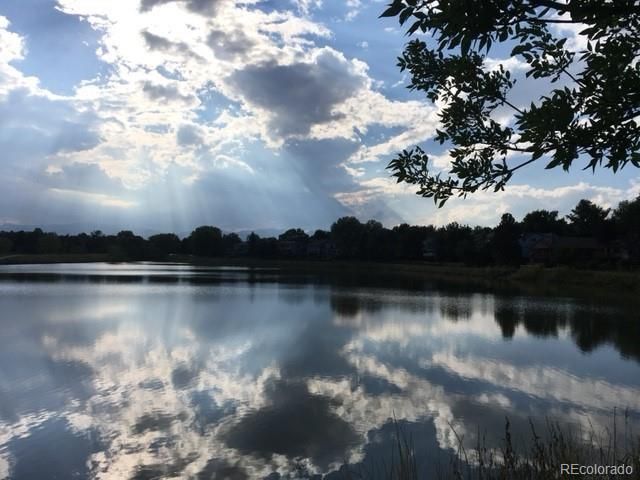 8198 W 81st Drive, Arvada, CO 80005