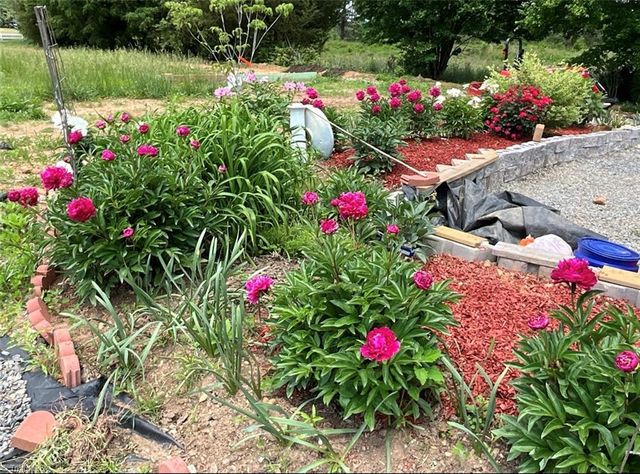 251 Palamino Trail, Dobson, NC 27017