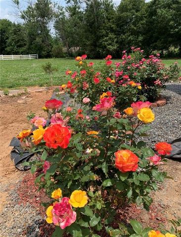 251 Palamino Trail, Dobson, NC 27017