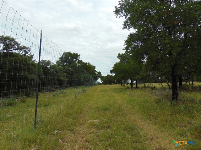 1661 Cottonwood Mesa Drive, Kempner, TX 76539