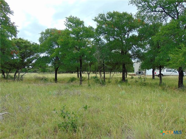 1661 Cottonwood Mesa Drive, Kempner, TX 76539