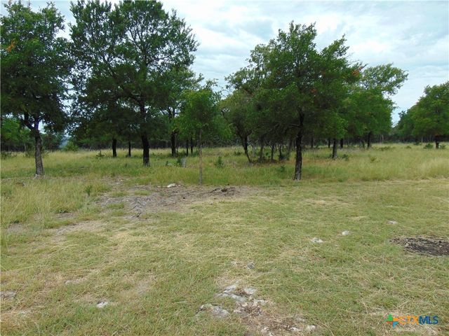 1661 Cottonwood Mesa Drive, Kempner, TX 76539