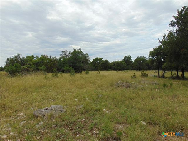 1661 Cottonwood Mesa Drive, Kempner, TX 76539