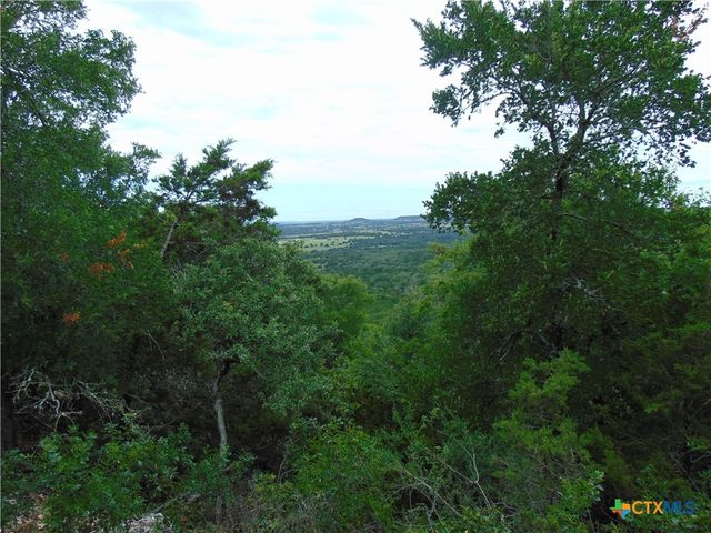 1661 Cottonwood Mesa Drive, Kempner, TX 76539