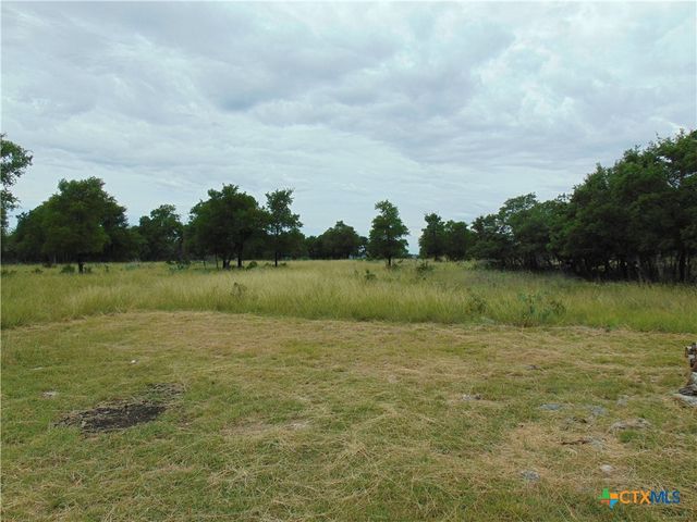 1661 Cottonwood Mesa Drive, Kempner, TX 76539
