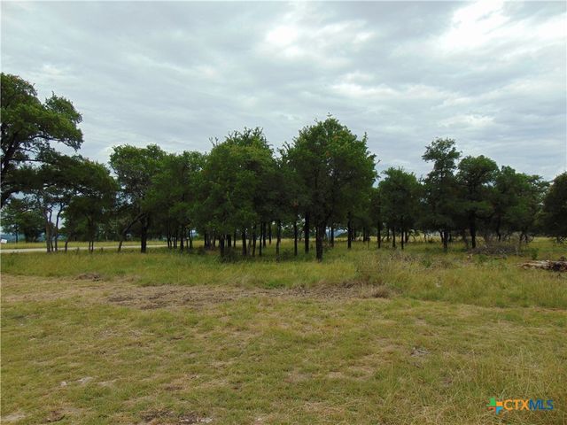 1661 Cottonwood Mesa Drive, Kempner, TX 76539