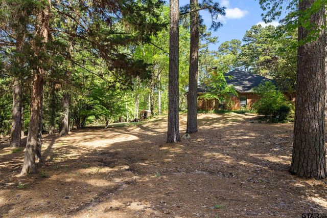 19132 Falls Creek Dr., Flint, TX 75762