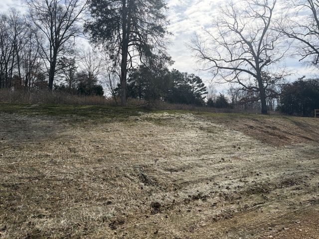 3206 Hunziker Lane, Fairview, TN 37062