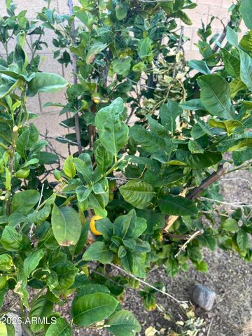 15758 N Ulrich, Surprise, AZ 85374