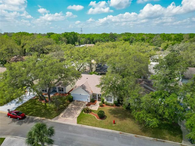 208 DESOTA COURT, Lady Lake, FL 32159