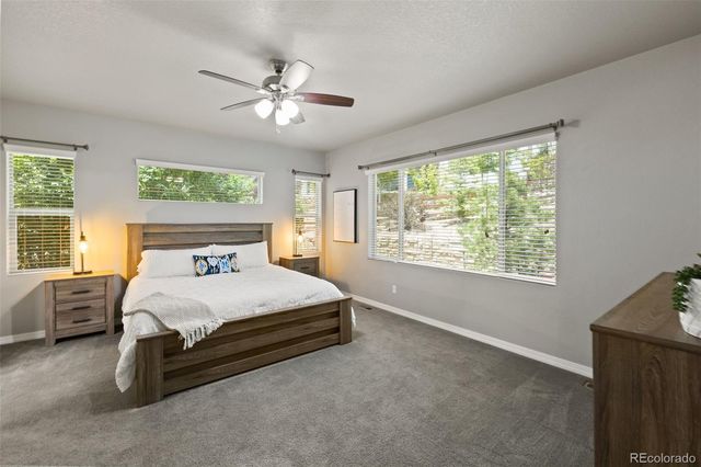 3270 Watefront Drive, Monument, CO 80132