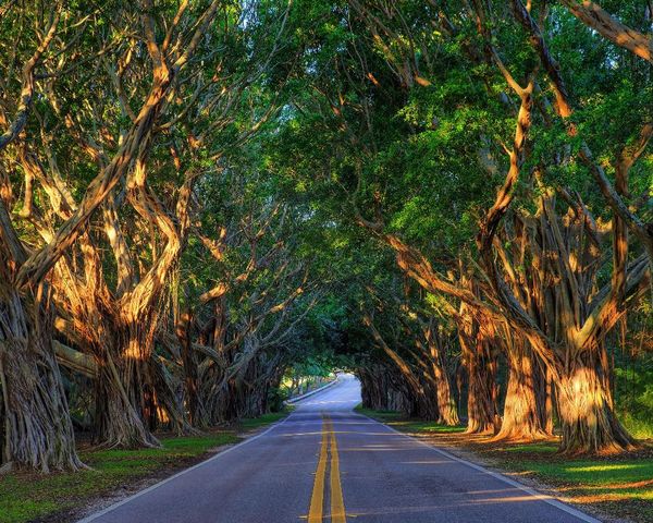 6250 SE Fauna Ter Terrace, Hobe Sound, FL 33455