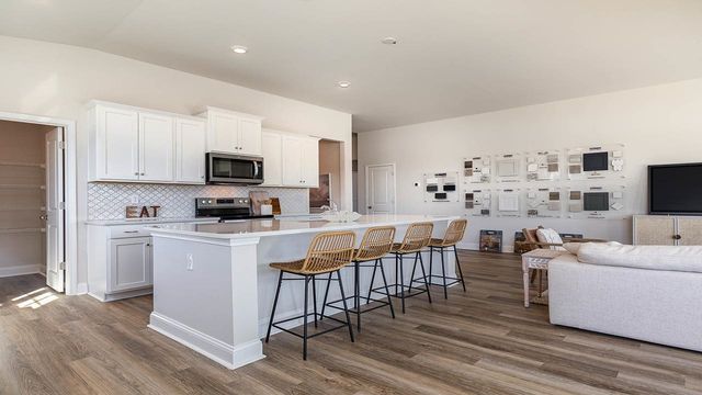 355 Hadley Springs Ave, Longs, SC 29568