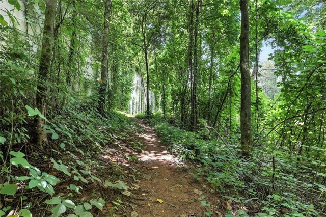 14 Living Waters Way, Clayton, GA 30525