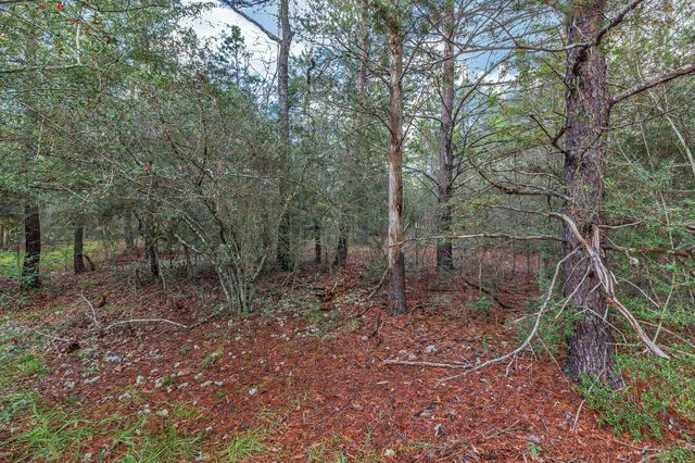 416 Woodlands Boulevard, Defuniak Springs, FL 32433