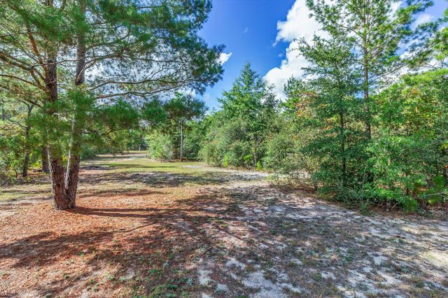 416 Woodlands Boulevard, Defuniak Springs, FL 32433