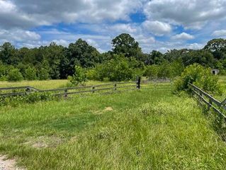 TBD Jenkins Road, Huntsville, TX 77320