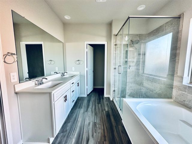 1217 Antelope Passing Drive, Montgomery, TX 77316