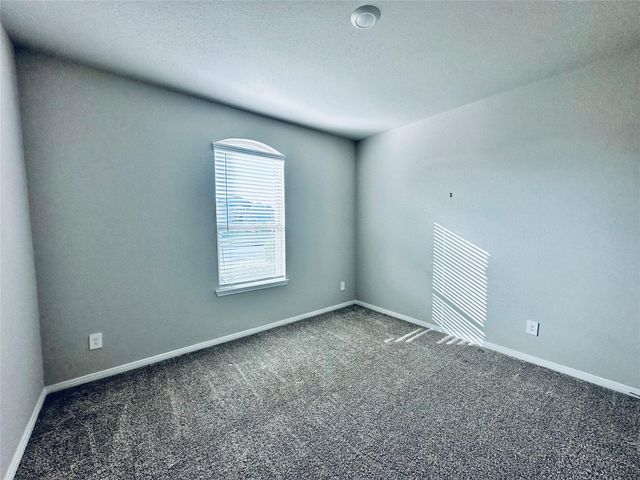 1217 Antelope Passing Drive, Montgomery, TX 77316