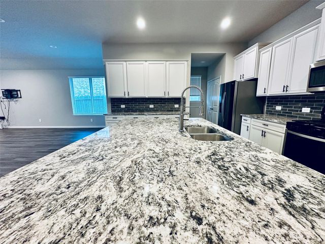 1217 Antelope Passing Drive, Montgomery, TX 77316