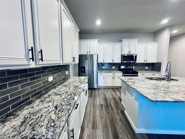 1217 Antelope Passing Drive, Montgomery, TX 77316