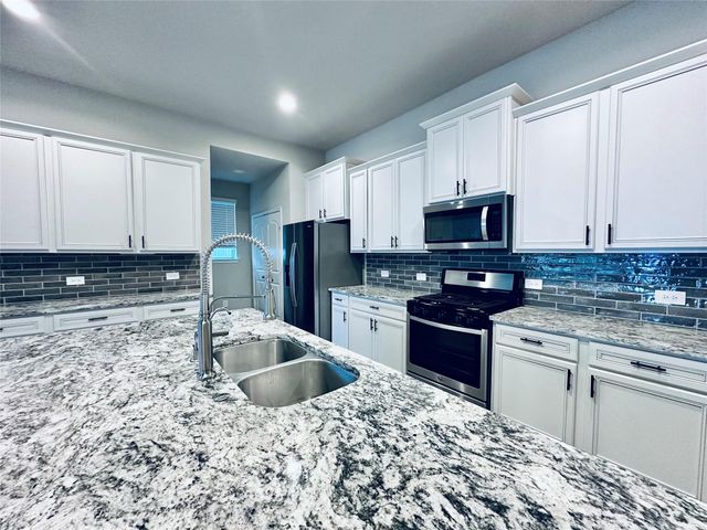 1217 Antelope Passing Drive, Montgomery, TX 77316