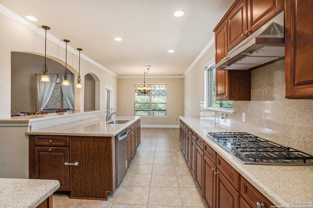 23223 Treemont, San Antonio, TX 78261