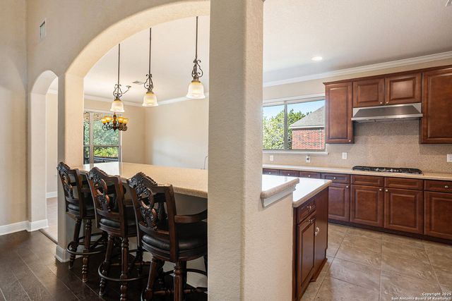 23223 Treemont, San Antonio, TX 78261