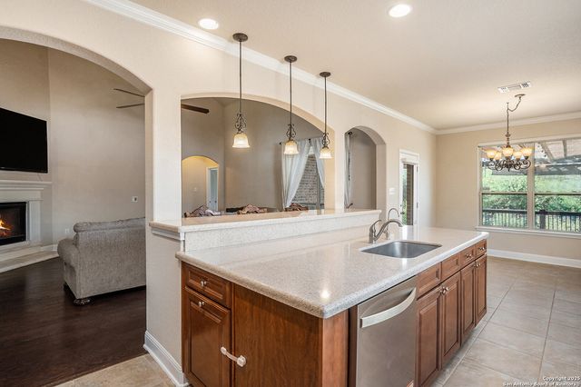 23223 Treemont, San Antonio, TX 78261