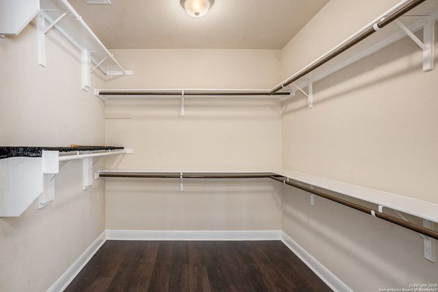 23223 Treemont, San Antonio, TX 78261