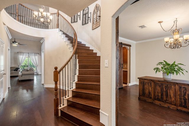 23223 Treemont, San Antonio, TX 78261