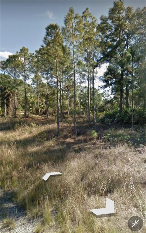 1130 Coons ST E, LEHIGH ACRES, FL 33974 — photo 3