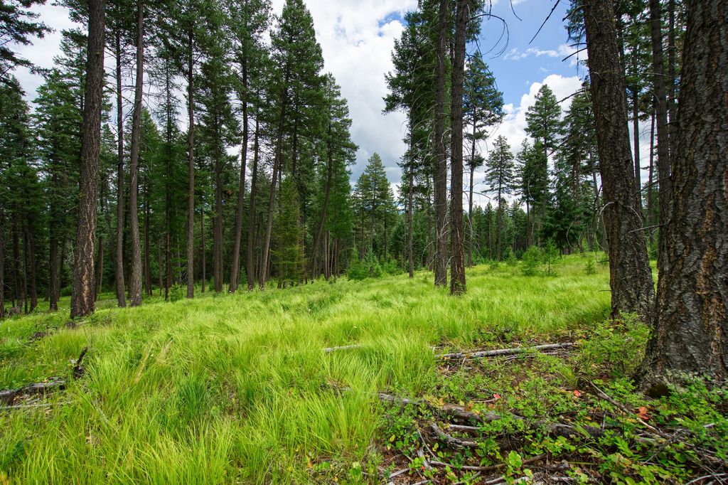 Image 1 of property listing at 185 Rosewood Lane Lot 14, Whitefish, MT 59937
