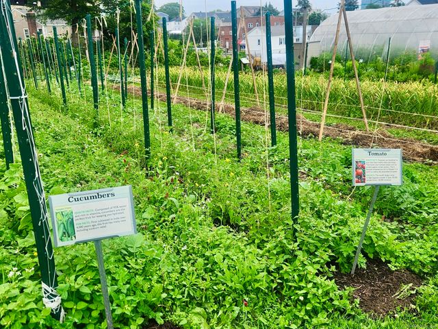 54 Fairgate Drive, Stamford, CT 06902