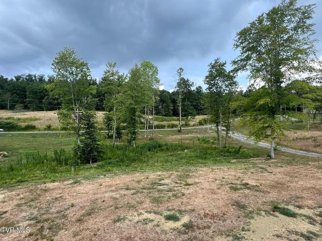 286 Race Track Road, Rogersville, TN 37857