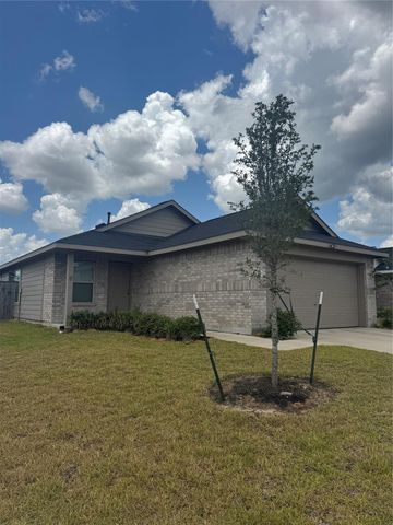 18703 Mercer Falls Drive, Hockley, TX 77447
