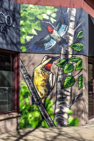 125 Ridgewood Drive, Hopkins, MN 55343