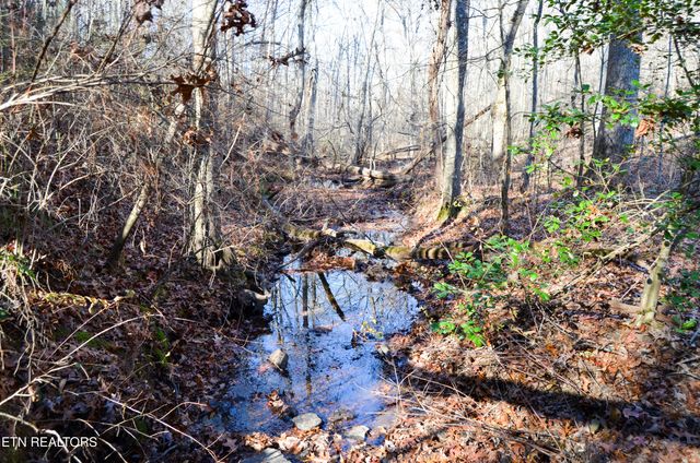 Sparta Hwy 63.3 Acres, Crossville, TN 38555