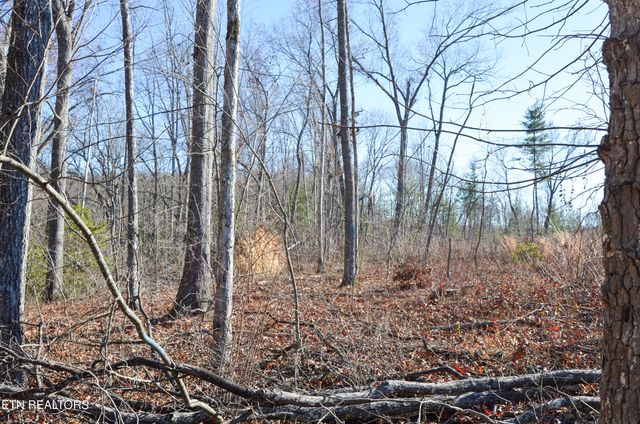 Sparta Hwy 63.3 Acres, Crossville, TN 38555