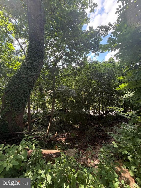 582 GORGAS LN, Philadelphia, PA 19128