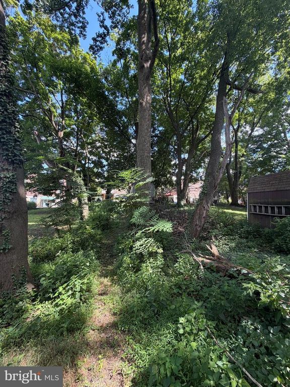 582 GORGAS LN, PHILADELPHIA, PA 19128 — photo 2