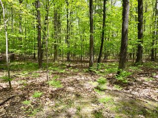 Lots 1-8 Adams/Roosevelt Boulevard, & Lots 45-50, Roscommon, MI 48653