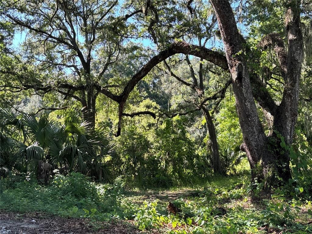14155 NE 47TH AVENUE, Anthony, FL 32617