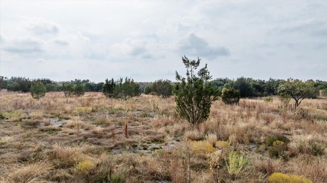 293 Greene Road, Weatherford, TX 76087