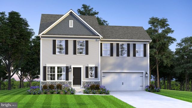 TBD OLD OCEAN CITY RD, Pittsville, MD 21850