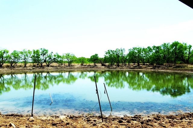 tbd Us-377, Brookesmith, TX 76827