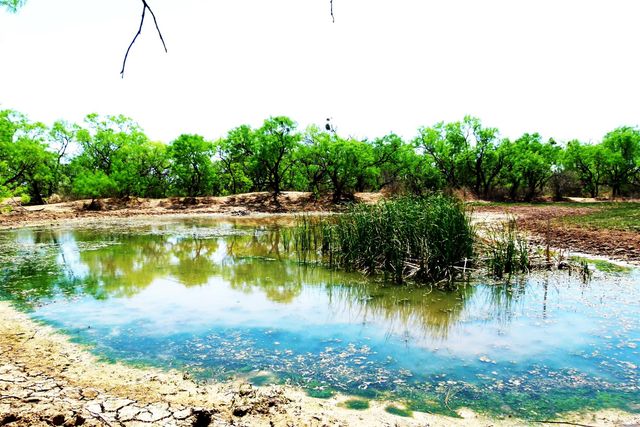 tbd Us-377, Brookesmith, TX 76827