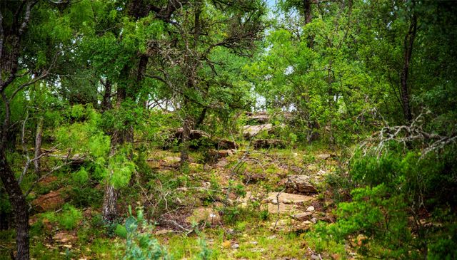 tbd Us-377, Brookesmith, TX 76827